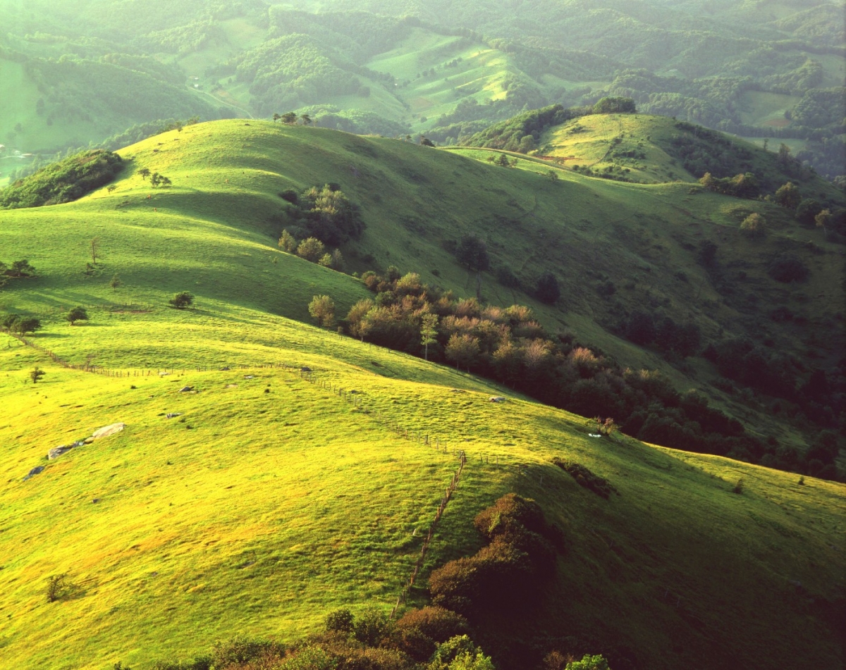 Appalachian Pastorale, 1979