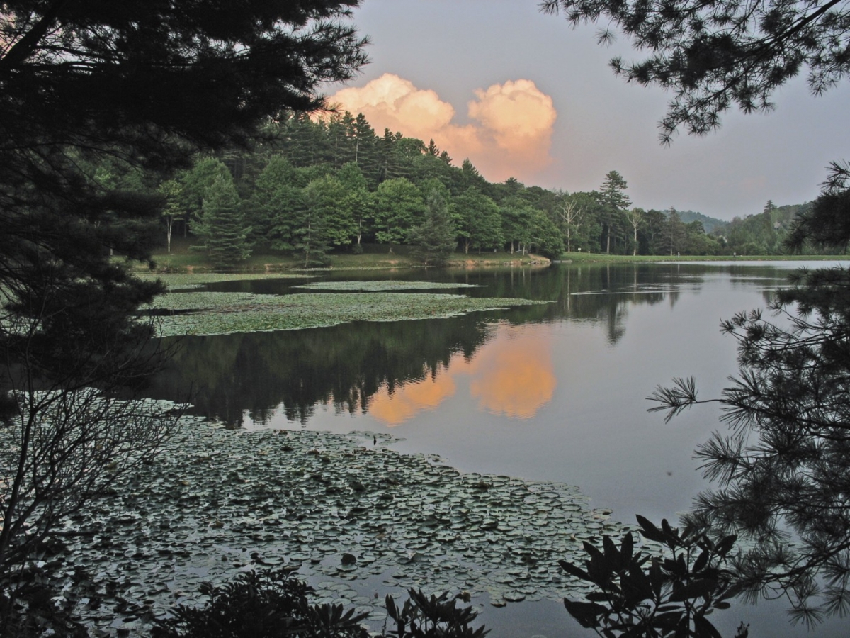 Bass Lake, Blue Ridge Parkway, 2006