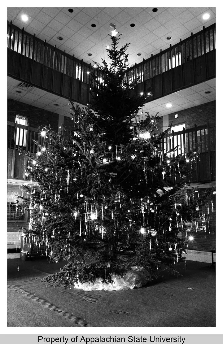 Christmas tree in 1974