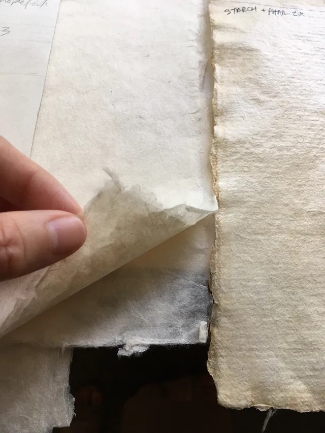 Starch paper