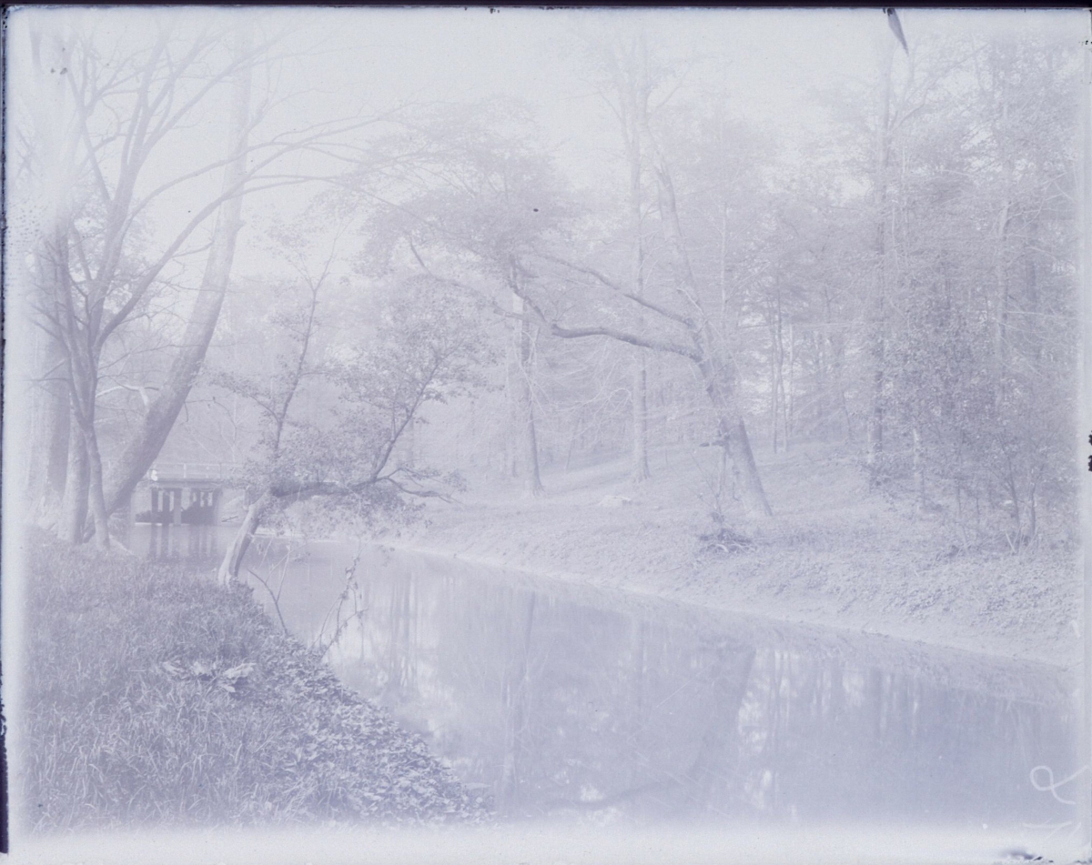 "Unidentified River," a river and rural riverbank scene