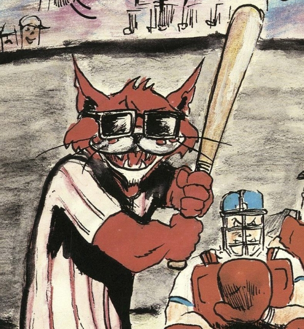 Close-up of a baseball program from the Charleston (West Virginia) Alley Cats