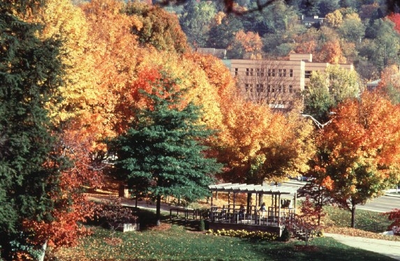 Fall foliage on the App State campus