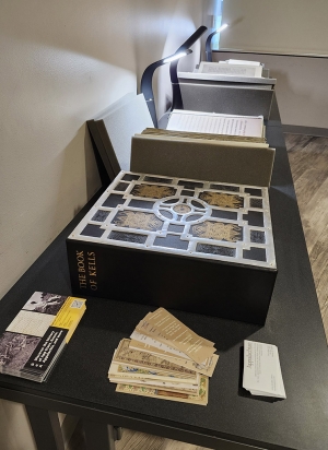 Books on display during conference workshop