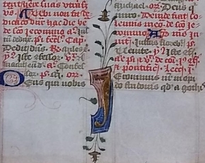 Close-up of the Sarum Rite breviary leaves