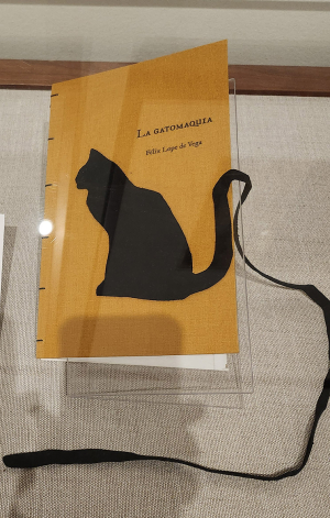 La Gatomaquia artists' book by Anais Abreu D'Argence and Emiliano Alvarez
