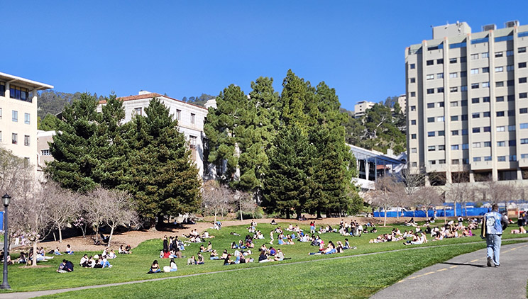 University of California Berkeley's campus, with students sitting outside on the lawn